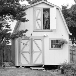 Image processed by CodeCarvings Piczard ### FREE Community Edition ### on 2013-09-20 19:58:44Z | http://piczard.com | http://codecarvings.com