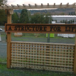 Image processed by CodeCarvings Piczard ### FREE Community Edition ### on 2013-09-20 19:58:25Z | http://piczard.com | http://codecarvings.com